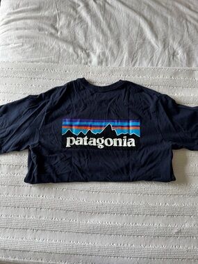 Patagonia T-shirt